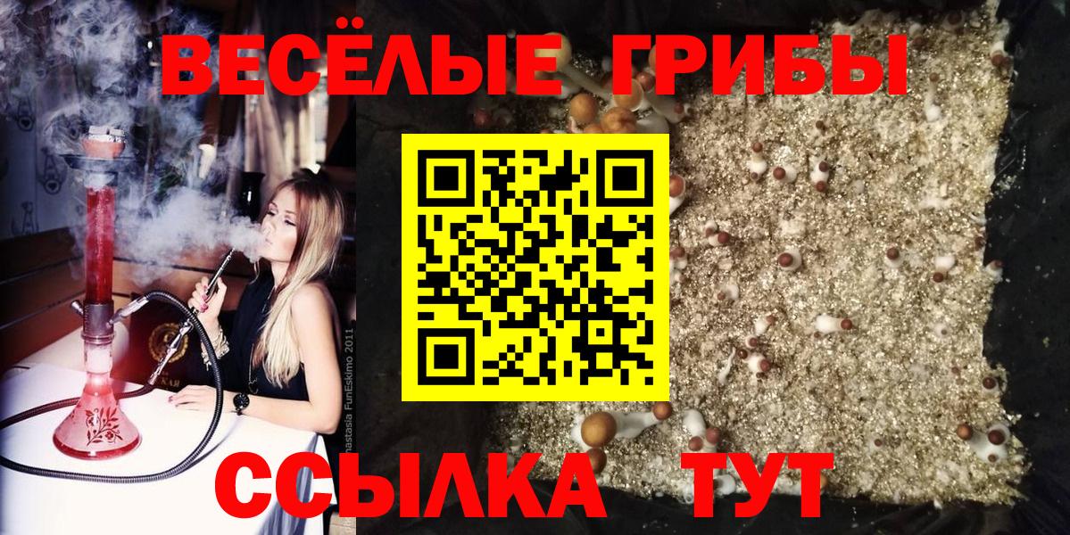 Псилоцибиновые грибы мицелий  Вход с VPN  Донецк 